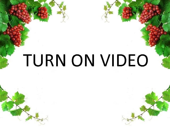 TURN ON VIDEO 