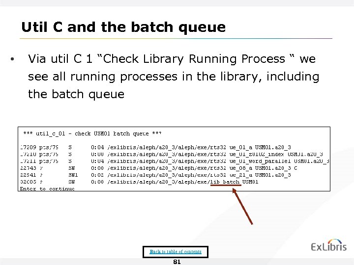 Util C and the batch queue • Via util C 1 “Check Library Running