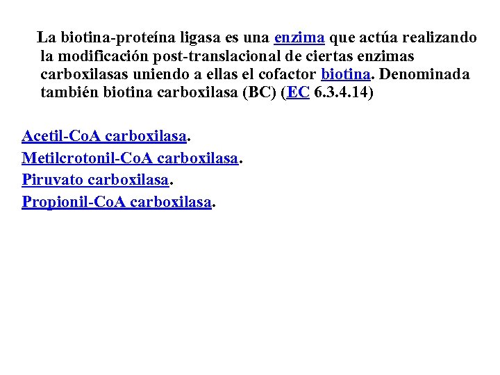 La biotina-proteína ligasa es una enzima que actúa realizando la modificación post-translacional de ciertas