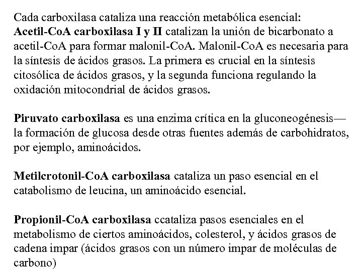 Cada carboxilasa cataliza una reacción metabólica esencial: Acetil-Co. A carboxilasa I y II catalizan