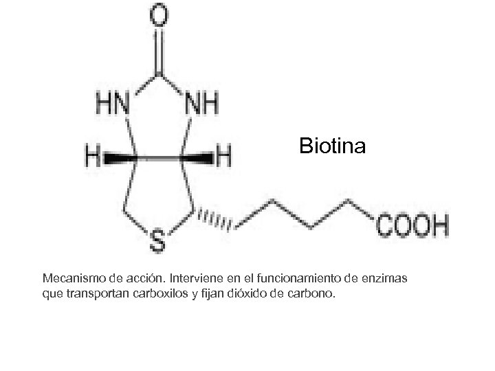 Biotina Mecanismo de acción. Interviene en el funcionamiento de enzimas que transportan carboxilos y