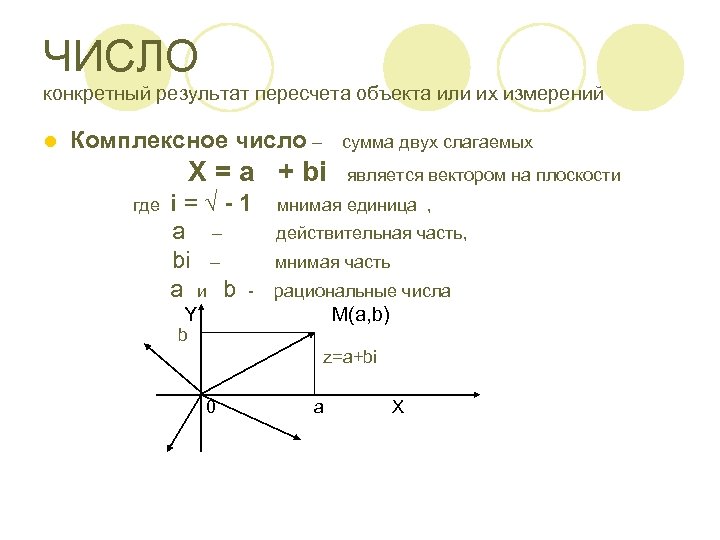 ЧИСЛО конкретный результат пересчета объекта или их измерений l Комплексное число – сумма двух