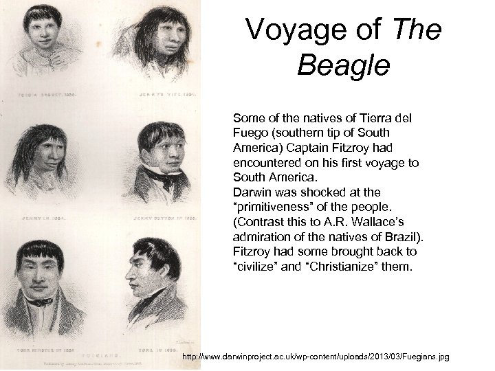 Voyage of The Beagle Some of the natives of Tierra del Fuego (southern tip