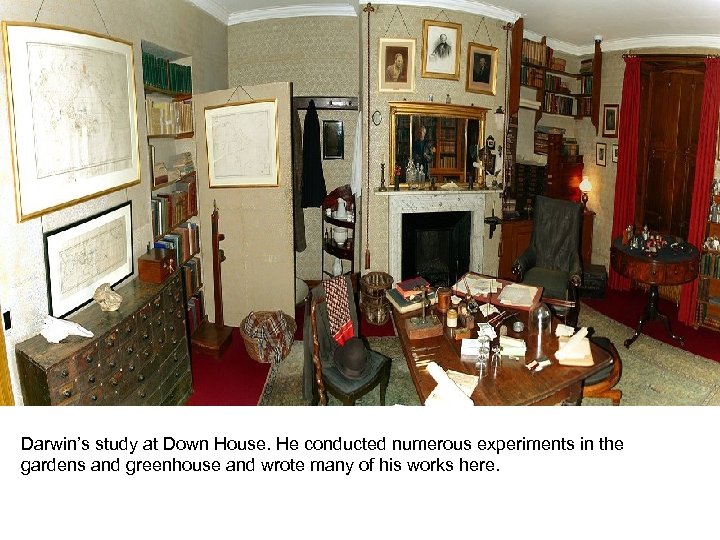 Darwin Naturally Selects Emma Darwin’s study at Down House. He conducted numerous experiments in