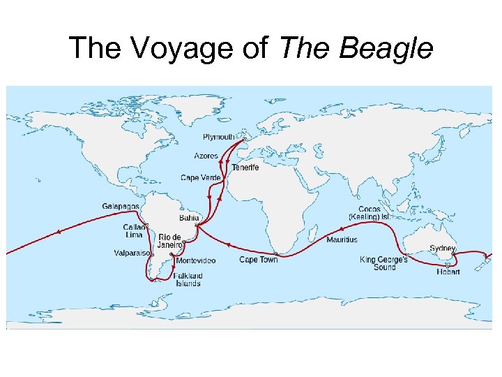 The Voyage of The Beagle 