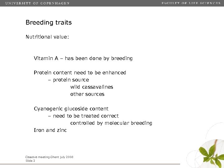 Breeding traits Nutritional value: Vitamin A – has been done by breeding Protein content