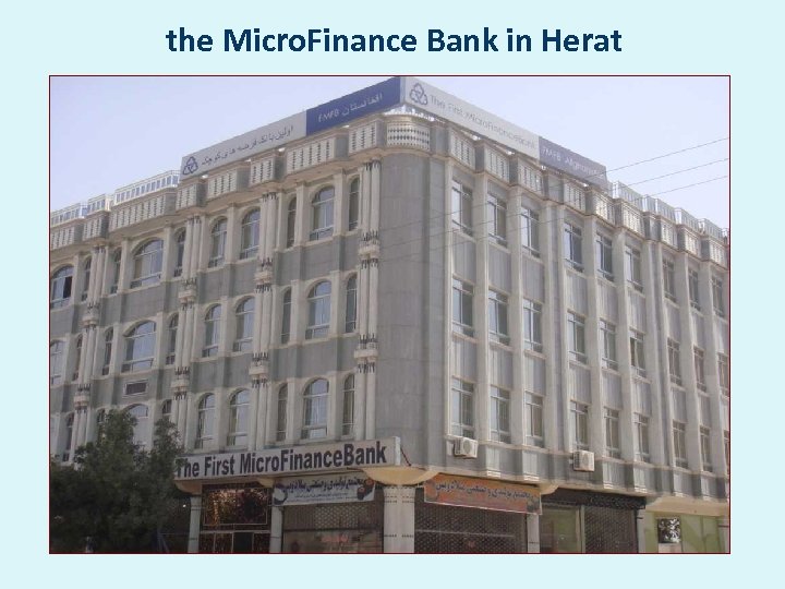  the Micro. Finance Bank in Herat 