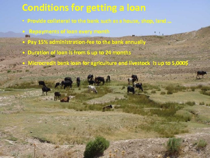 Conditions for getting a loan • Provide collateral to the bank such as a