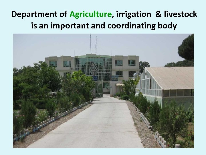  Department of Agriculture, irrigation & livestock is an important and coordinating body 