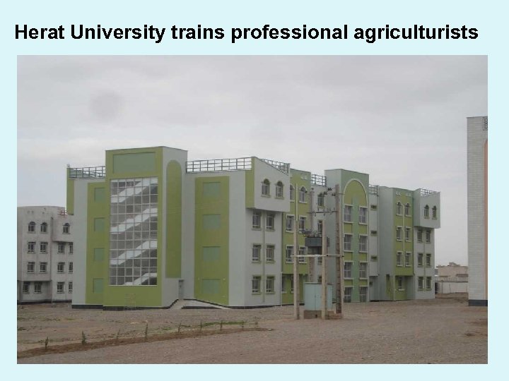 Herat University trains professional agriculturists 