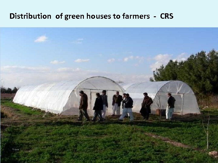 Distribution of green houses to farmers - CRS 