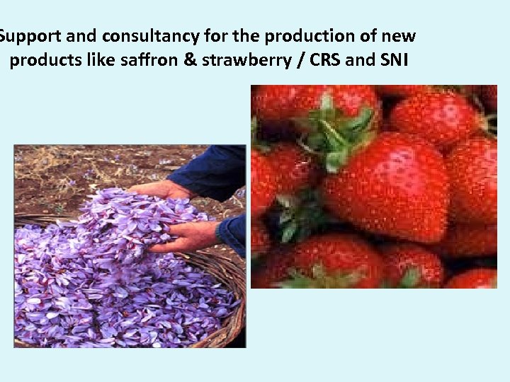 Support and consultancy for the production of new products like saffron & strawberry /