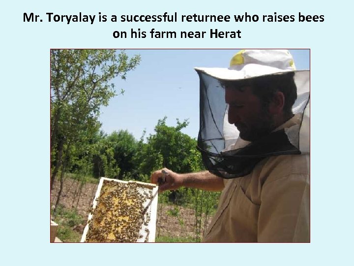 Mr. Toryalay is a successful returnee who raises bees on his farm near Herat