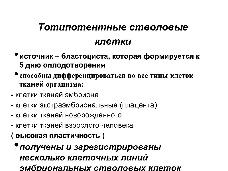 Тотипотентные стволовые клетки • источник – бластоциста, которая формируется к 5 дню оплодотворения способны