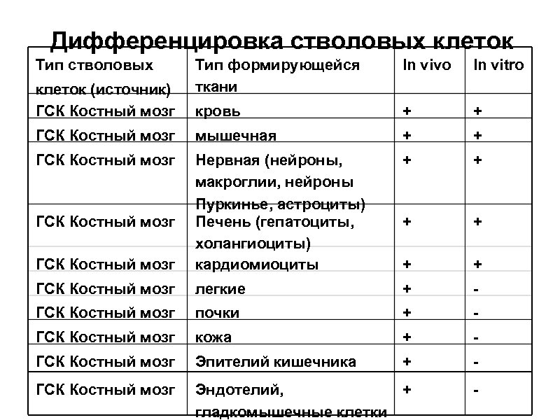 Дифференцировка стволовых клеток Тип стволовых Тип формирующейся ткани In vivo In vitro кровь +