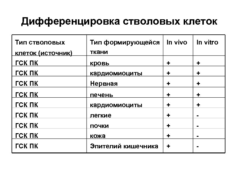 Дифференцировка стволовых клеток Тип стволовых In vivo In vitro клеток (источник) Тип формирующейся ткани