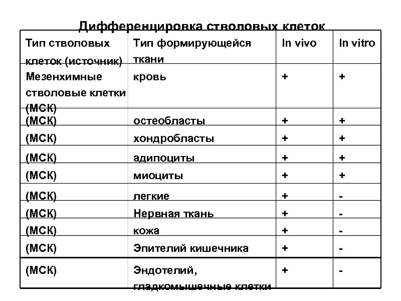 Дифференцировка стволовых клеток Тип стволовых Тип формирующейся клеток (источник) ткани Мезенхимные кровь стволовые клетки