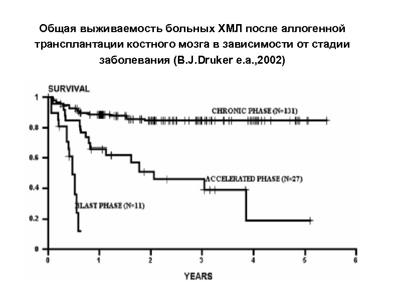 Общая выживаемость больных ХМЛ после аллогенной трансплантации костного мозга в зависимости от стадии заболевания