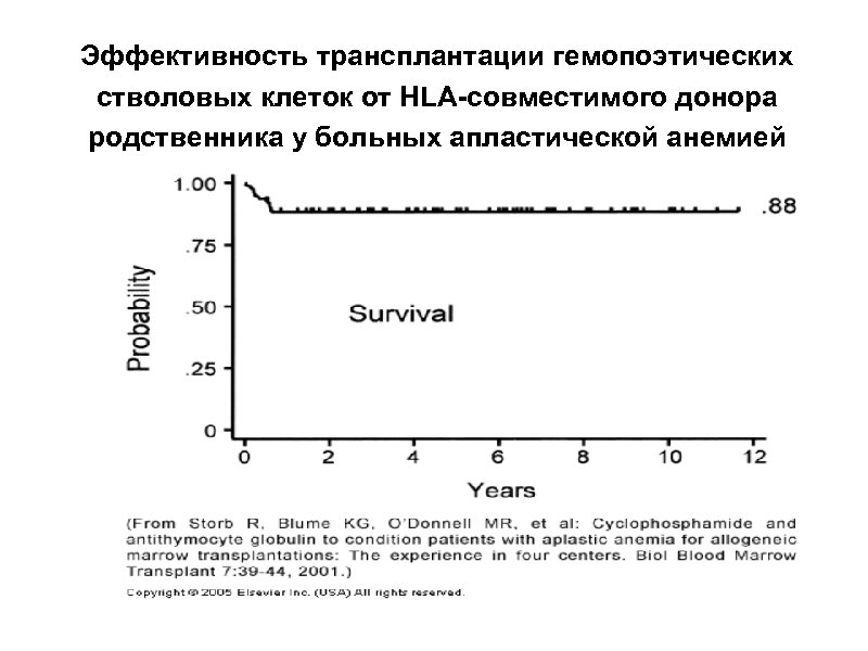 Эффективность трансплантации гемопоэтических стволовых клеток от HLA-совместимого донора родственника у больных апластической анемией 