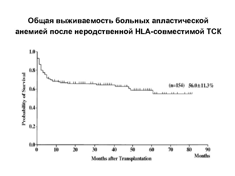 Общая выживаемость больных апластической анемией после неродственной HLA-совместимой ТСК 