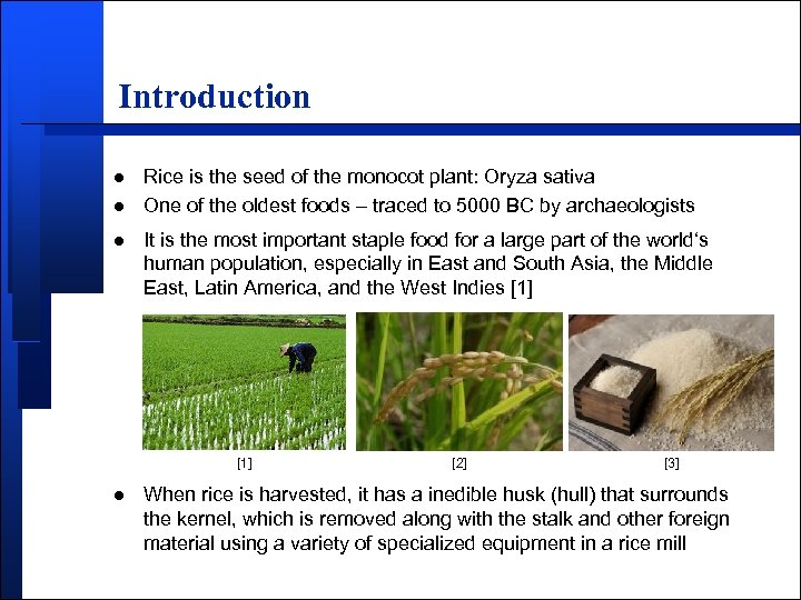 Introduction l l l Rice is the seed of the monocot plant: Oryza sativa