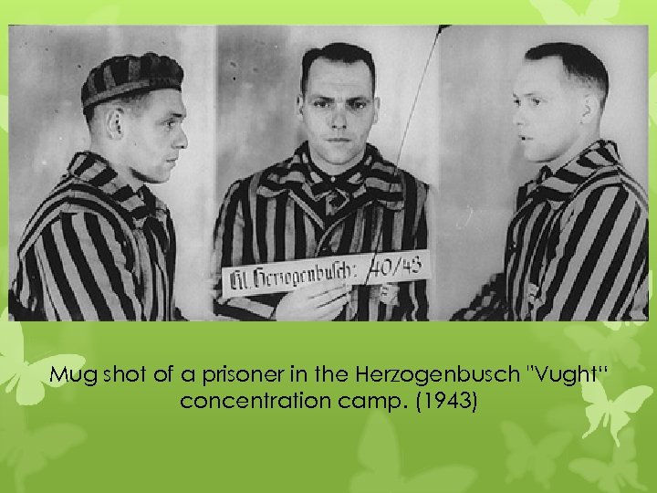 Mug shot of a prisoner in the Herzogenbusch "Vught“ concentration camp. (1943) 
