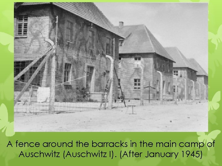 A fence around the barracks in the main camp of Auschwitz (Auschwitz I). (After