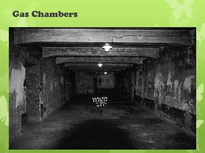 Gas Chambers 
