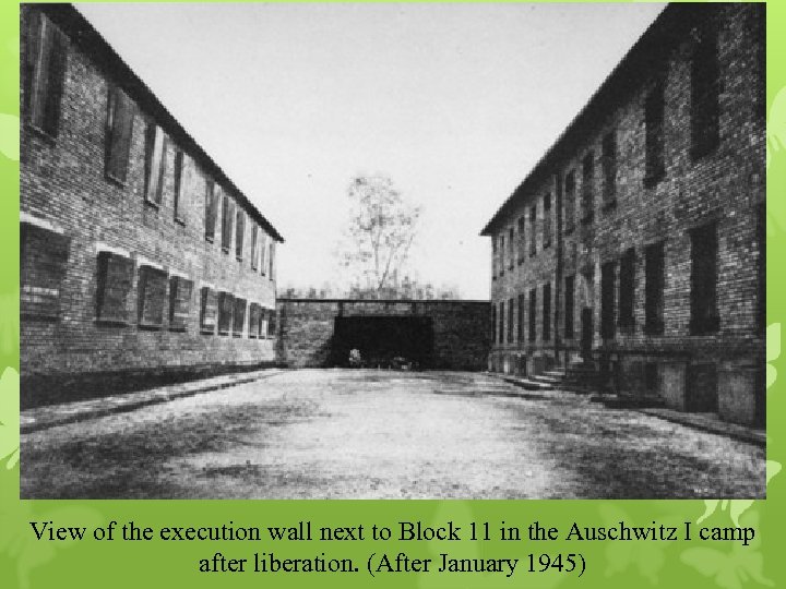 View of the execution wall next to Block 11 in the Auschwitz I camp
