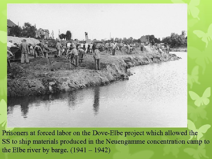 Prisoners at forced labor on the Dove-Elbe project which allowed the SS to ship
