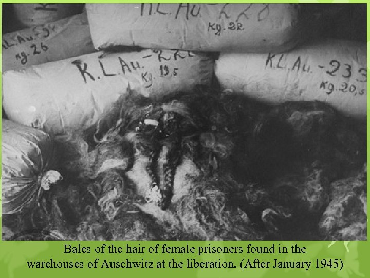 Bales of the hair of female prisoners found in the warehouses of Auschwitz at