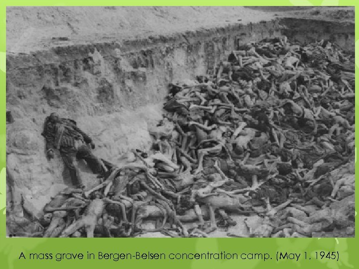 A mass grave in Bergen-Belsen concentration camp. (May 1, 1945) 