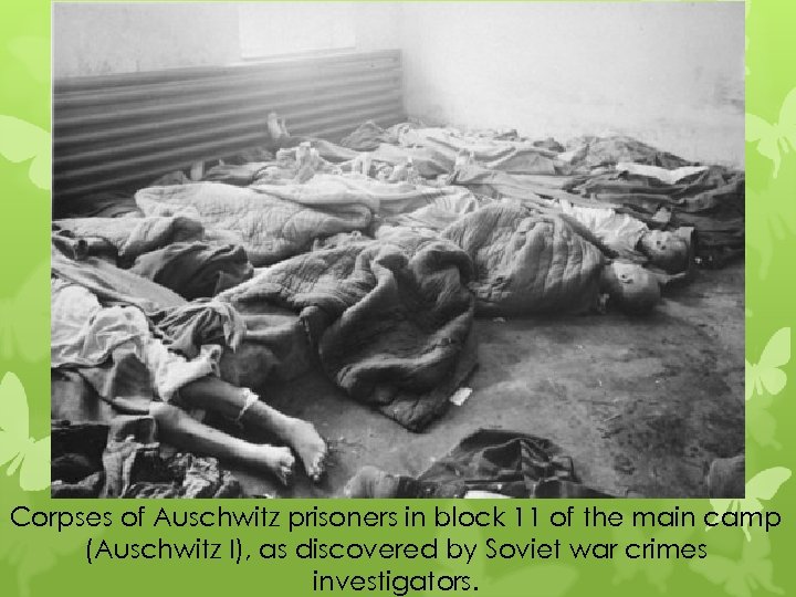 Corpses of Auschwitz prisoners in block 11 of the main camp (Auschwitz I), as