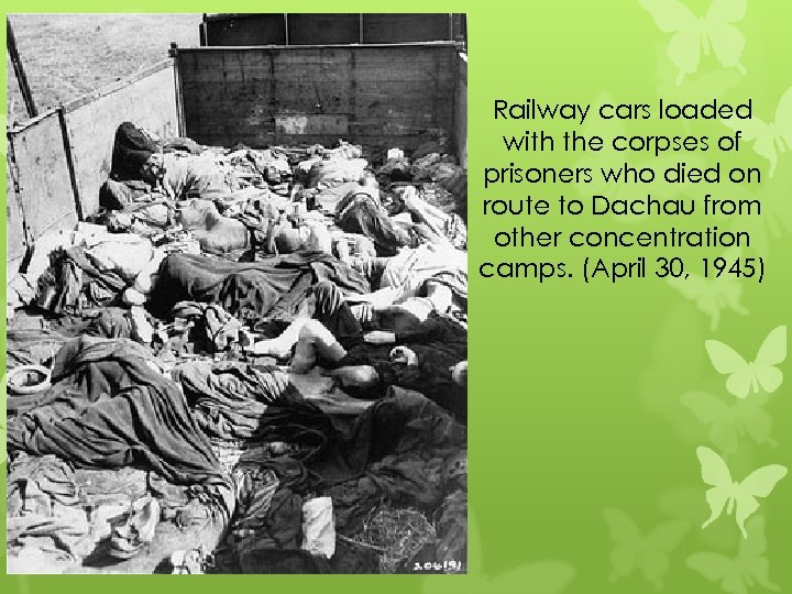 Railway cars loaded with the corpses of prisoners who died on route to Dachau