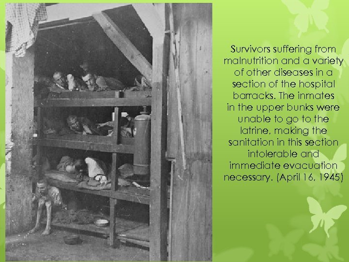 Survivors suffering from malnutrition and a variety of other diseases in a section of