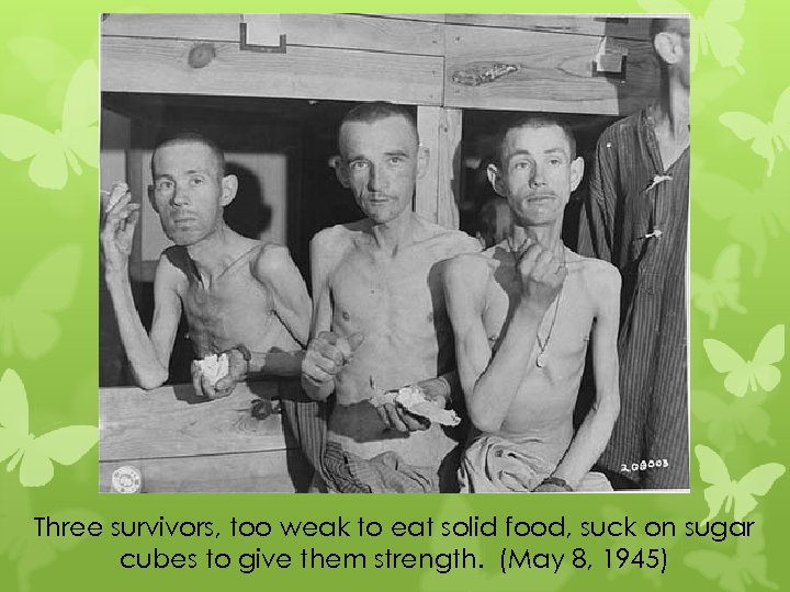 Three survivors, too weak to eat solid food, suck on sugar cubes to give