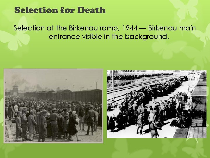Selection for Death Selection at the Birkenau ramp, 1944 — Birkenau main entrance visible