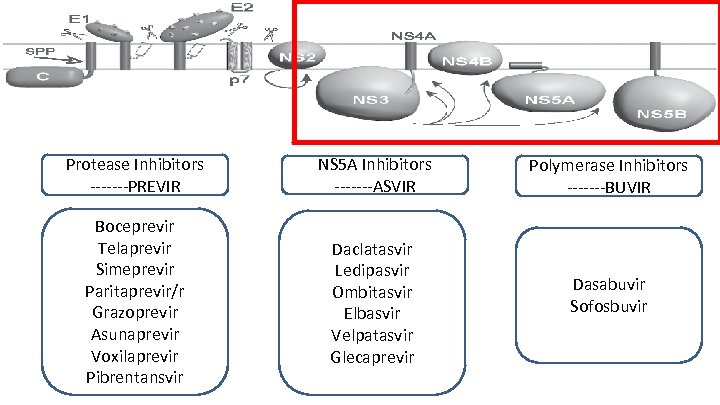 Protease Inhibitors -------PREVIR NS 5 A Inhibitors -------ASVIR Polymerase Inhibitors -------BUVIR Boceprevir Telaprevir Simeprevir