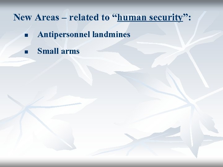 New Areas – related to “human security”: n Antipersonnel landmines n Small arms 