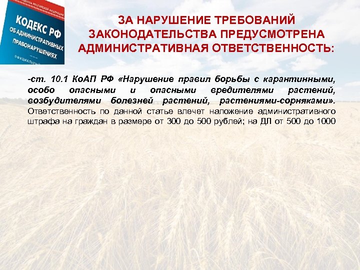 ЗА НАРУШЕНИЕ ТРЕБОВАНИЙ ЗАКОНОДАТЕЛЬСТВА ПРЕДУСМОТРЕНА АДМИНИСТРАТИВНАЯ ОТВЕТСТВЕННОСТЬ: -ст. 10. 1 Ко. АП РФ «Нарушение
