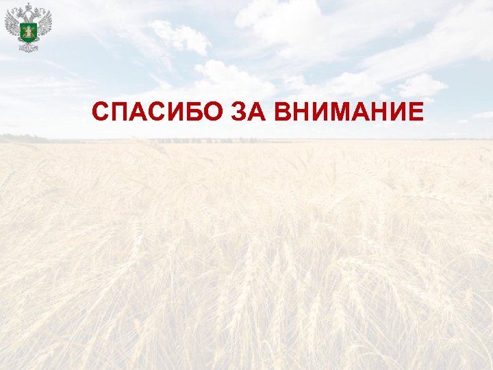 СПАСИБО ЗА ВНИМАНИЕ 