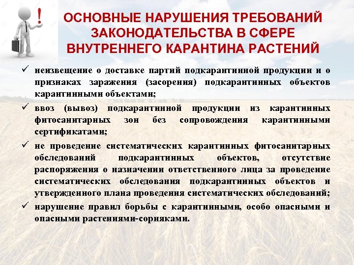 План проведения фитосанитарных карантинных обследований образец