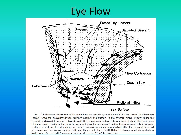Eye Flow 