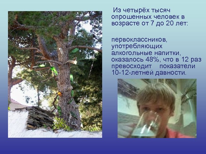 Из четырёх тысяч опрошенных человек в возрасте от 7 до 20 лет: первоклассников, употребляющих