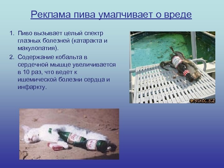 Реклама пива умалчивает о вреде 1. Пиво вызывает целый спектр глазных болезней (катаракта и