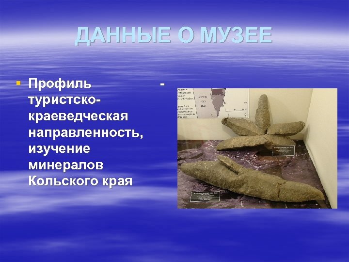 ДАННЫЕ О МУЗЕЕ § Профиль туристскокраеведческая направленность, изучение минералов Кольского края - 