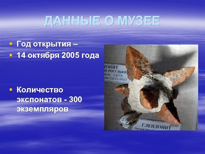 ДАННЫЕ О МУЗЕЕ § Год открытия – § 14 октября 2005 года § Количество