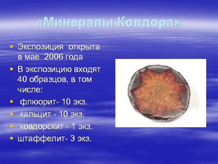  «Минералы Ковдора» § Экспозиция открыта в мае 2006 года § В экспозицию входят