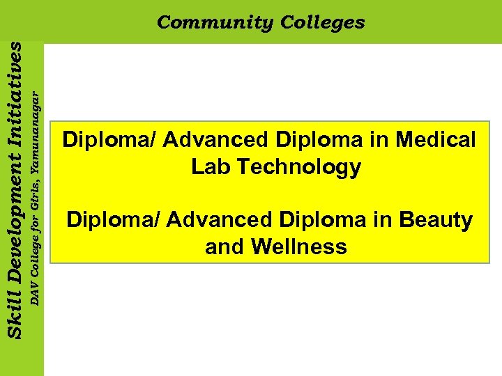 DAV College for Girls, Yamunanagar Skill Development Initiatives Community Colleges Diploma/ Advanced Diploma in