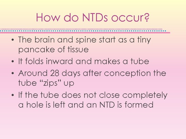 How do NTDs occur? • The brain and spine start as a tiny pancake